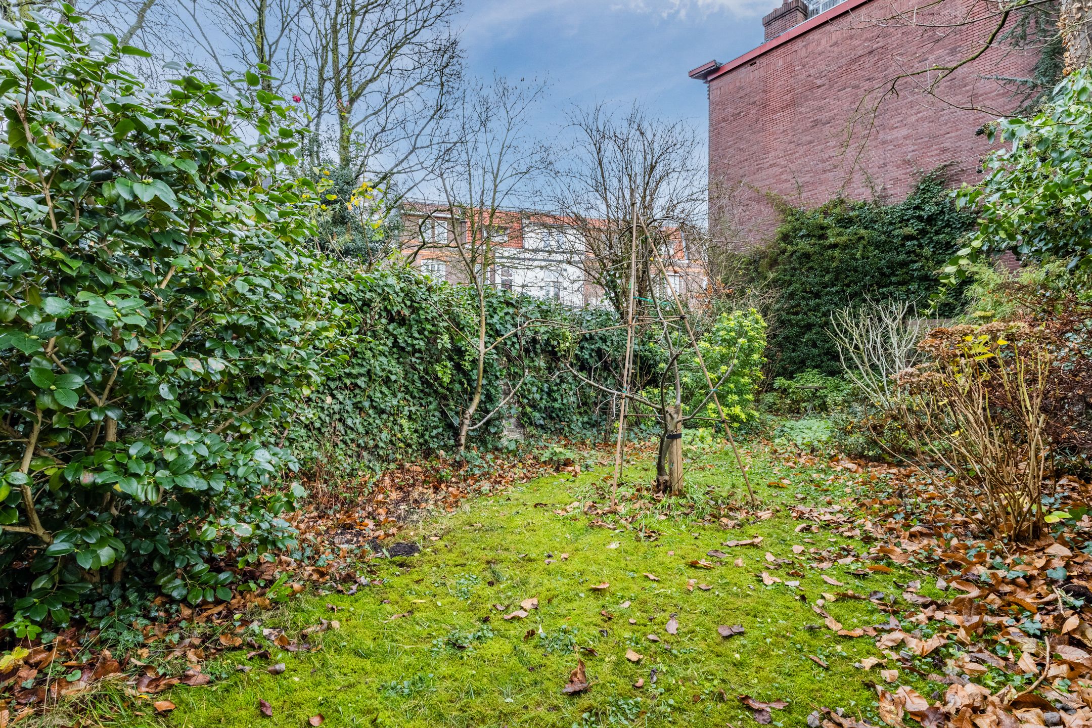 Foto 60 van Mr. Franckenstraat 15