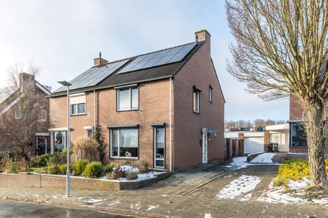 undefined main image