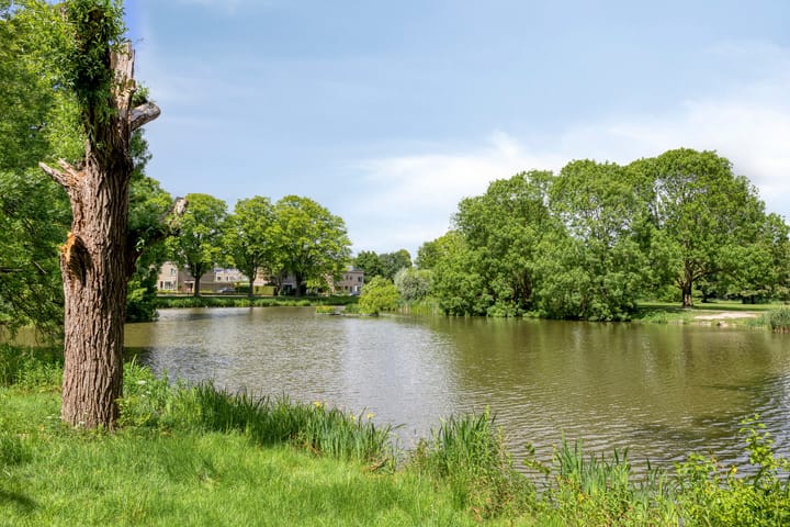 Photo 33 of Spirealaan 76