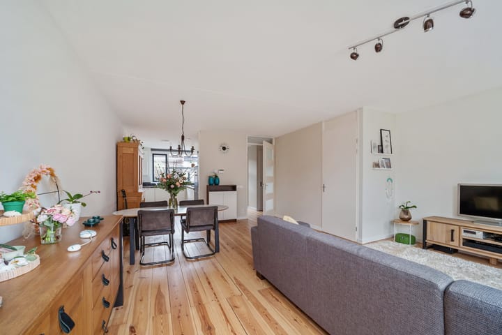 Foto 9 van Bruinvis 11