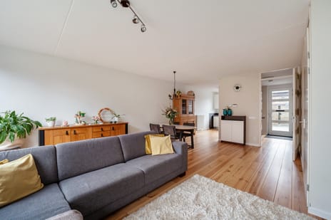 Bruinvis 11 secondary image