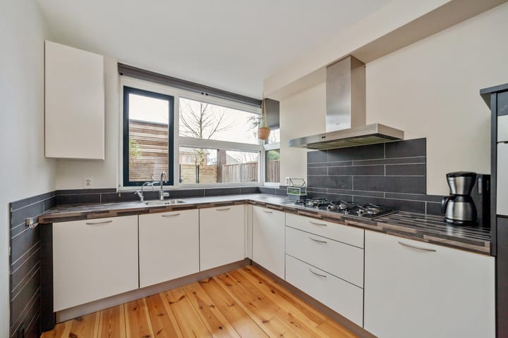 Foto 11 van Bruinvis 11