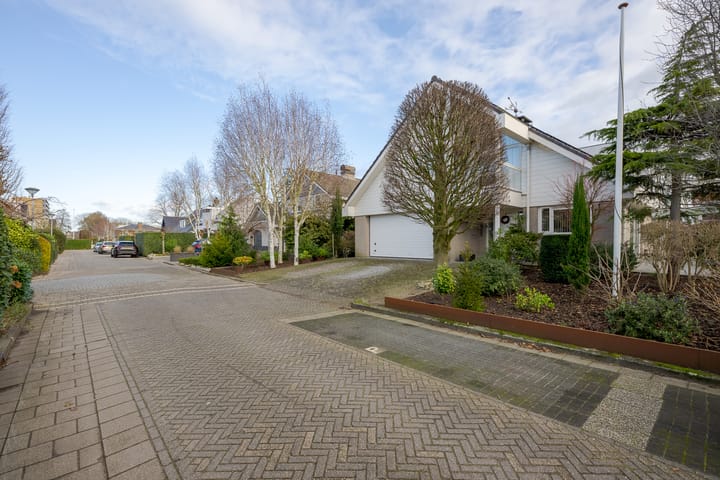 Foto 4 van Roerdomperf 14