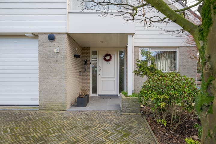 Foto 7 van Roerdomperf 14