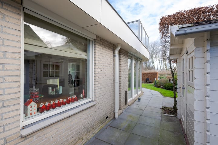 Foto 31 van Roerdomperf 14