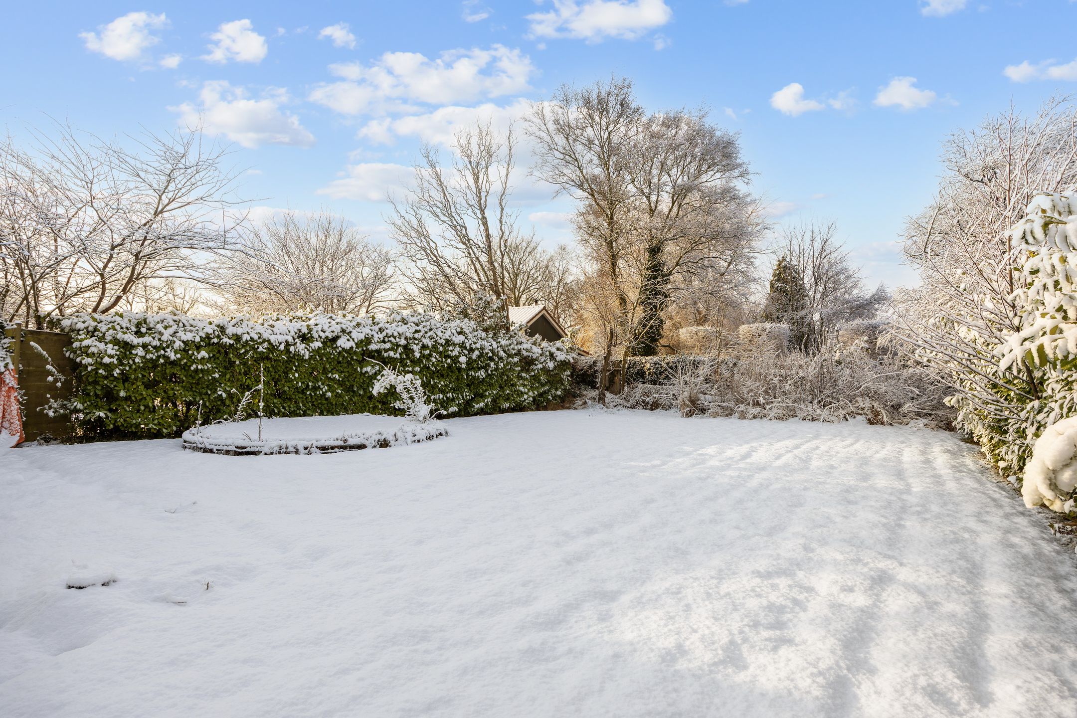 Foto 3 van Ossegang 2