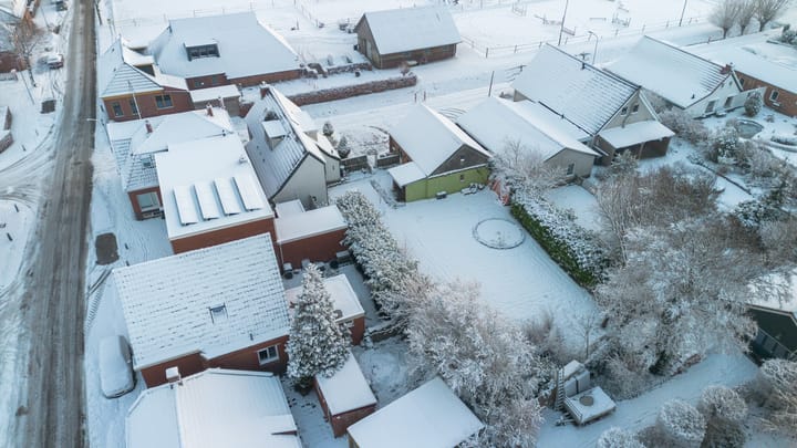 Foto 9 van Ossegang 2