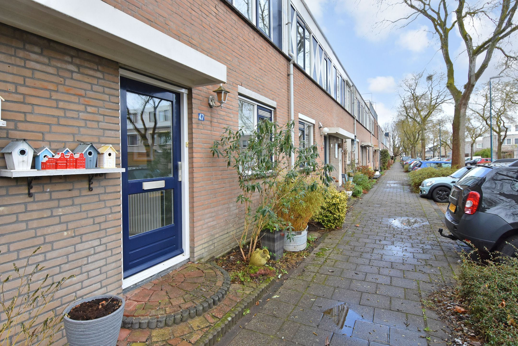 Photo 6 of Hemelsblauw 47