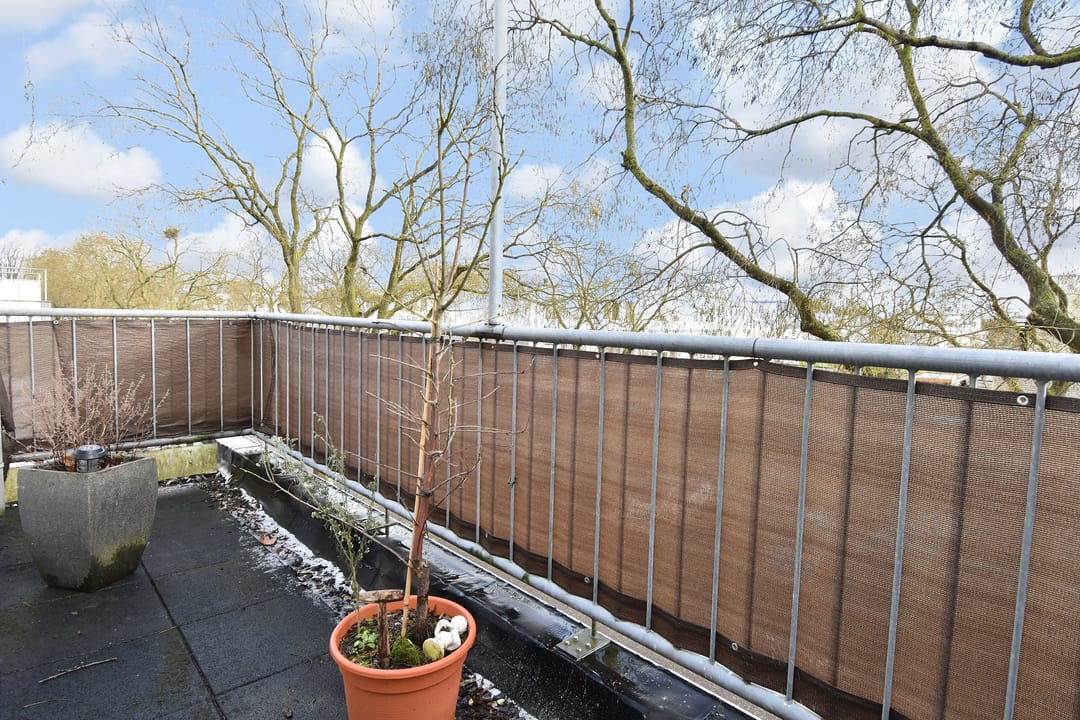 Photo 37 of Hemelsblauw 47