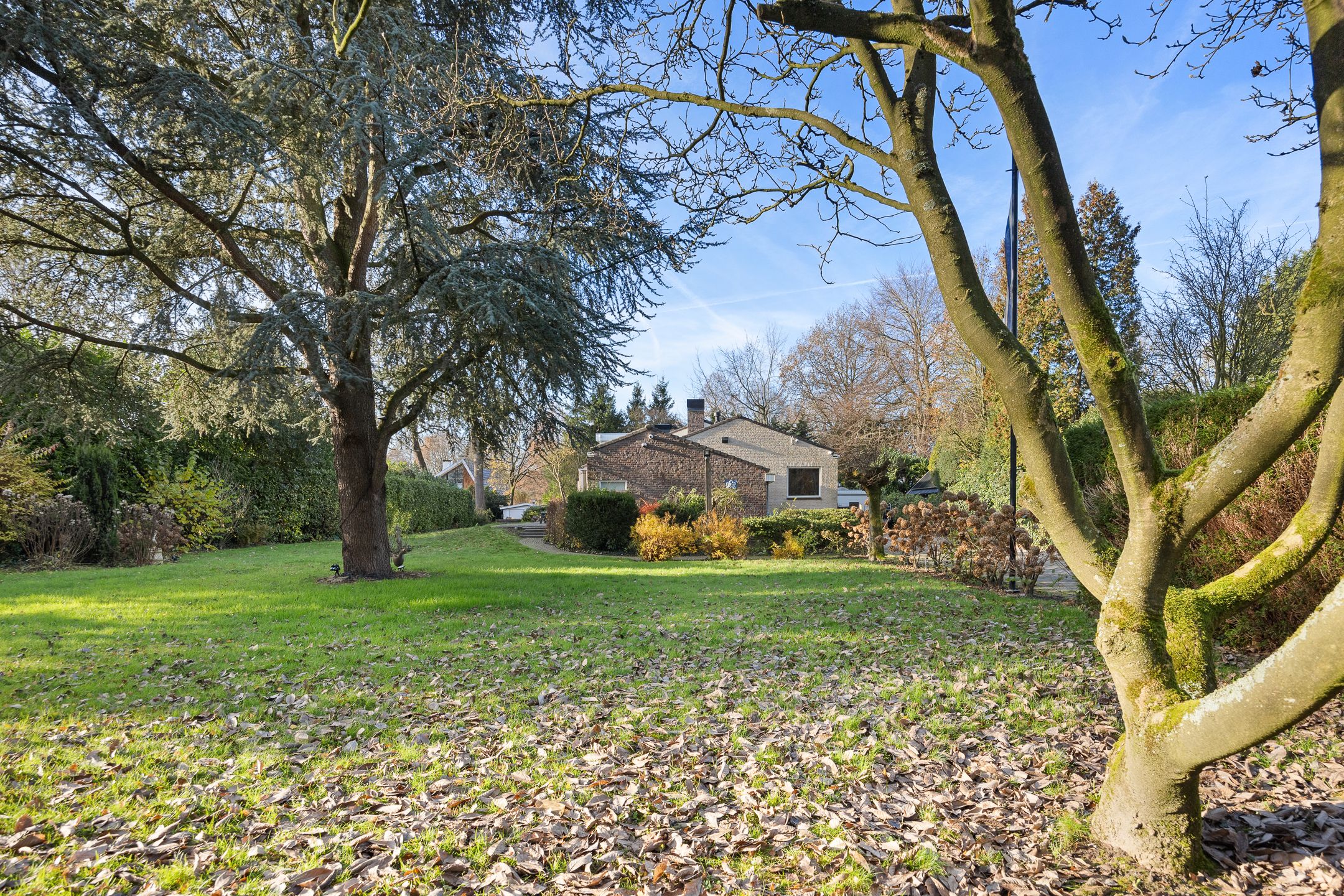 Foto 48 van Jagersveld 26