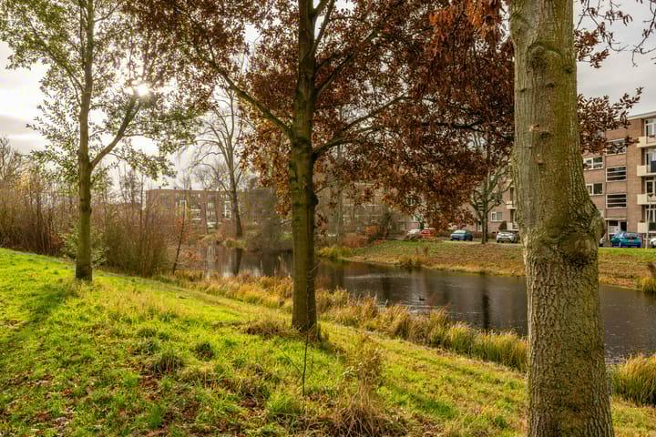 Foto 33 van Hora Siccamasingel 302