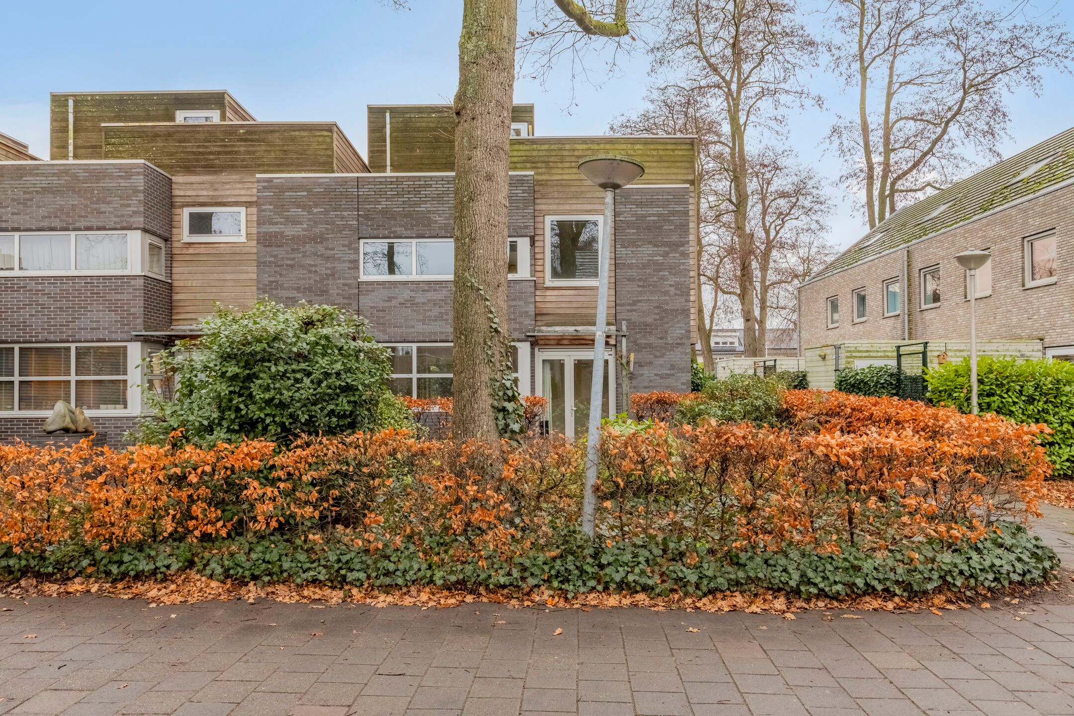 Photo 3 of Coriolanuspad 1-D