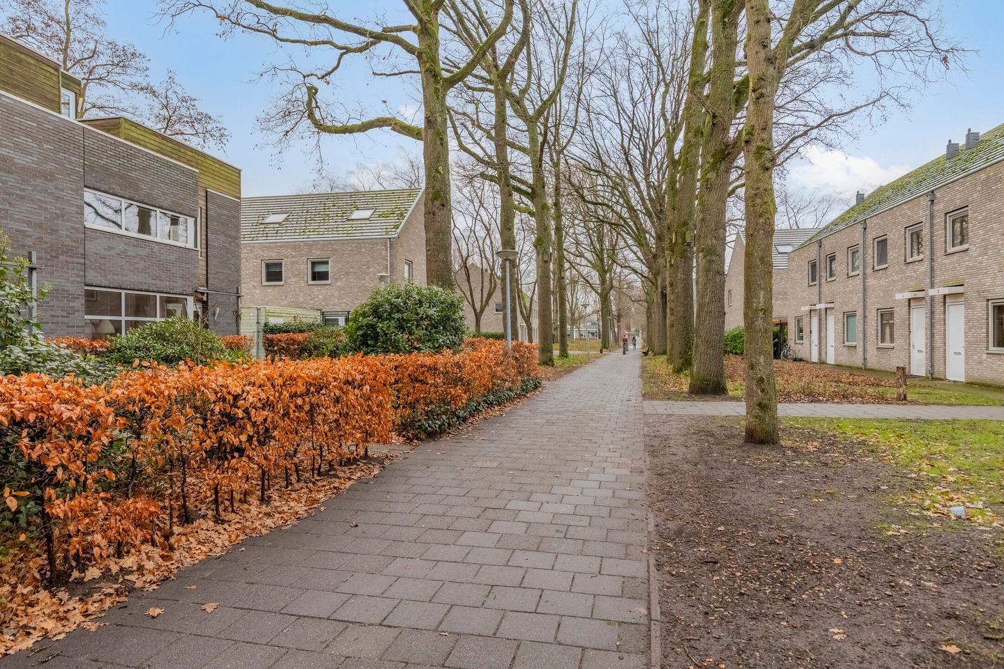 Photo 4 of Coriolanuspad 1-D