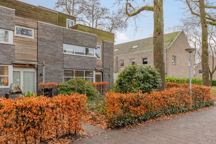 Foto 5 van Coriolanuspad 1-D