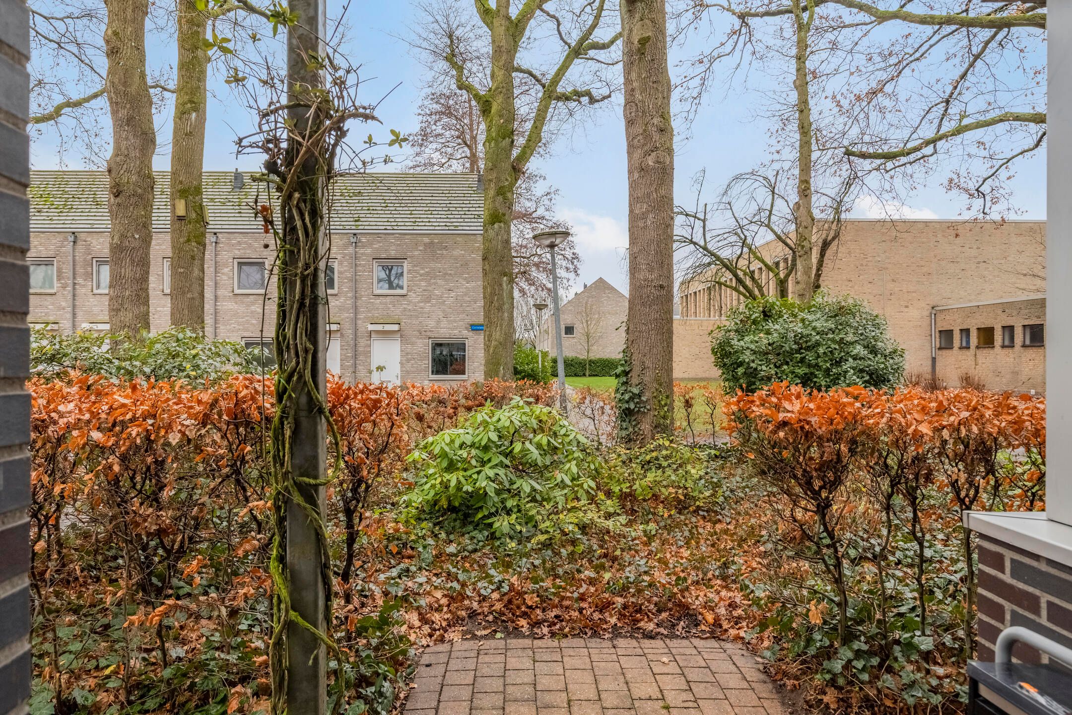 Photo 6 of Coriolanuspad 1-D