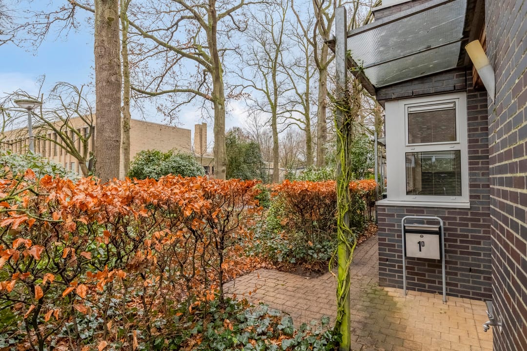 Photo 7 of Coriolanuspad 1-D