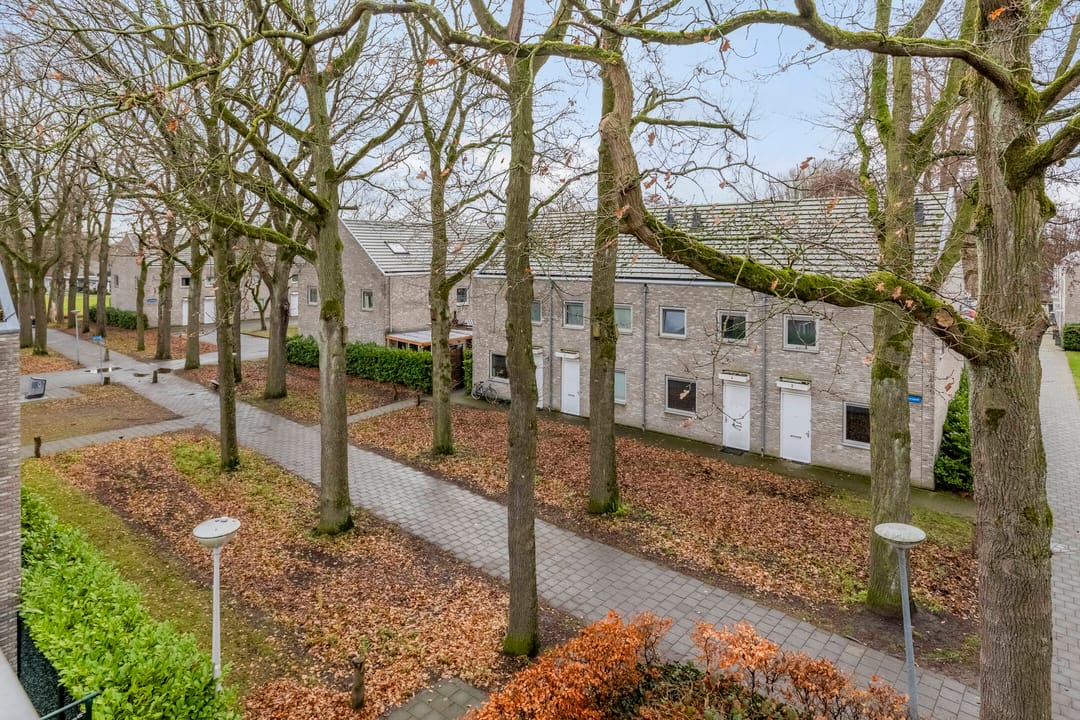 Photo 41 of Coriolanuspad 1-D