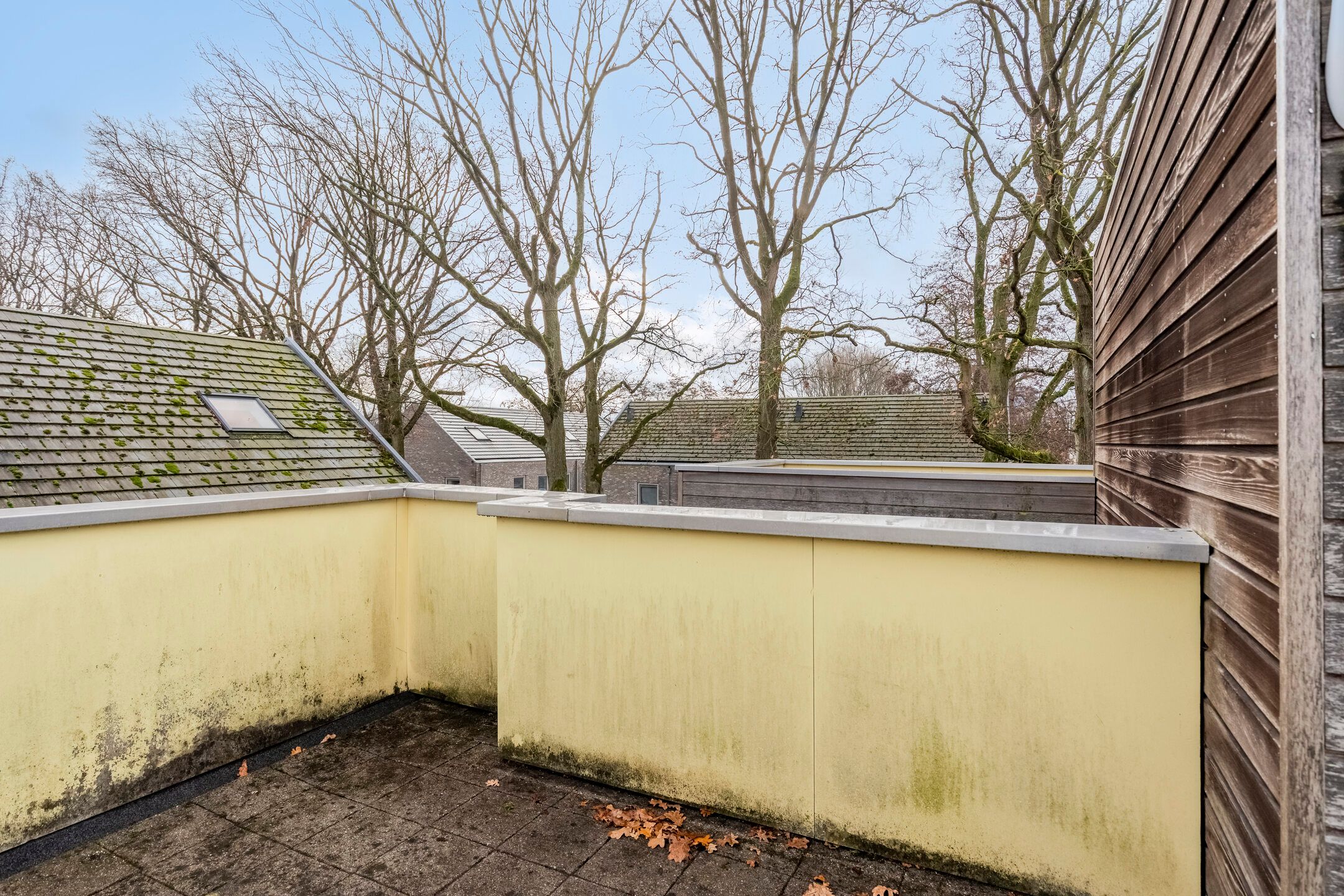 Photo 42 of Coriolanuspad 1-D