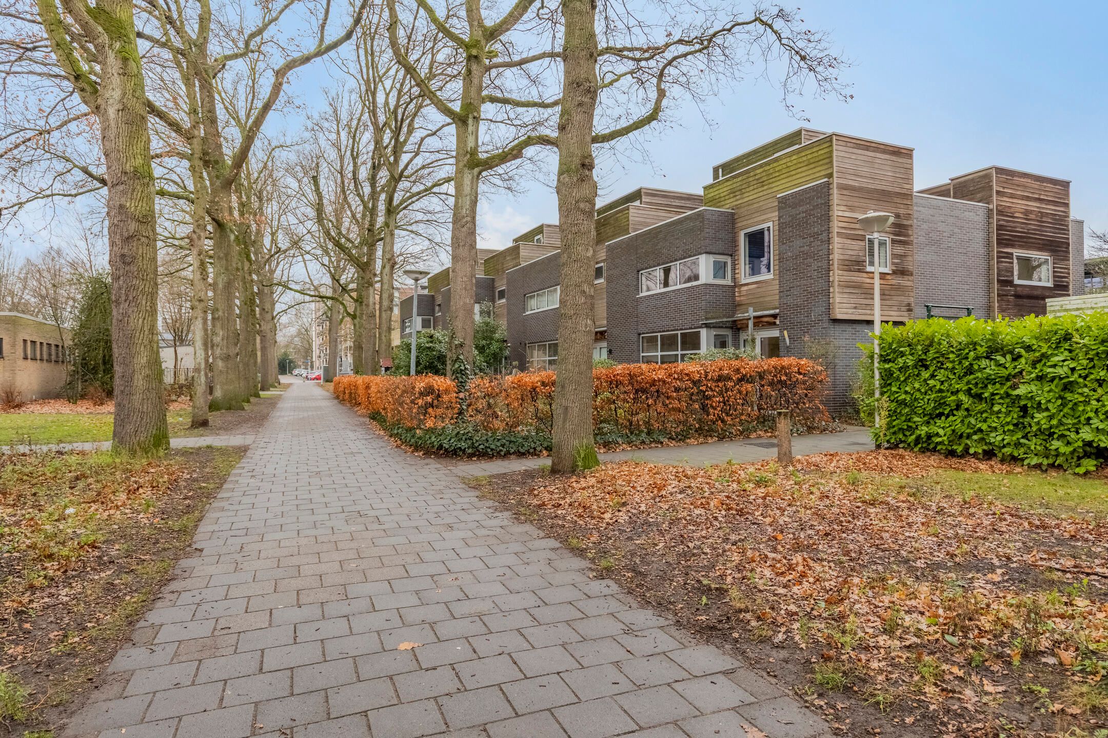 Photo 51 of Coriolanuspad 1-D