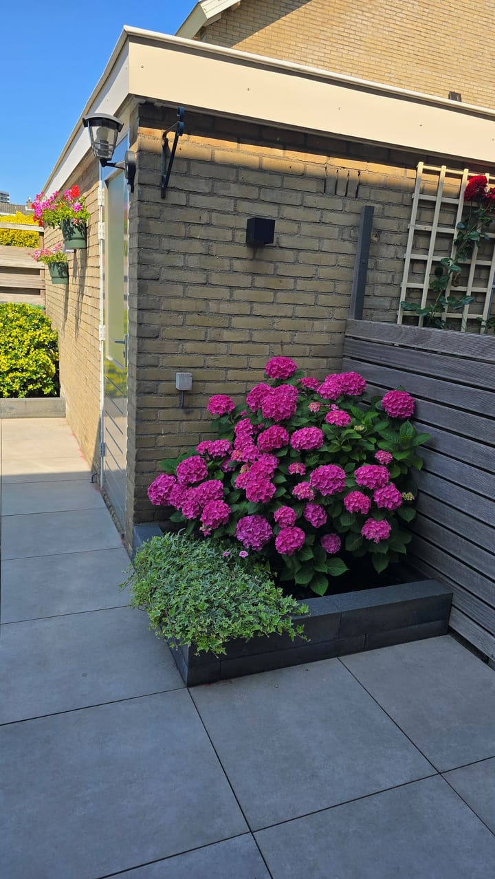 Foto 37 van Alexanderstraat 35