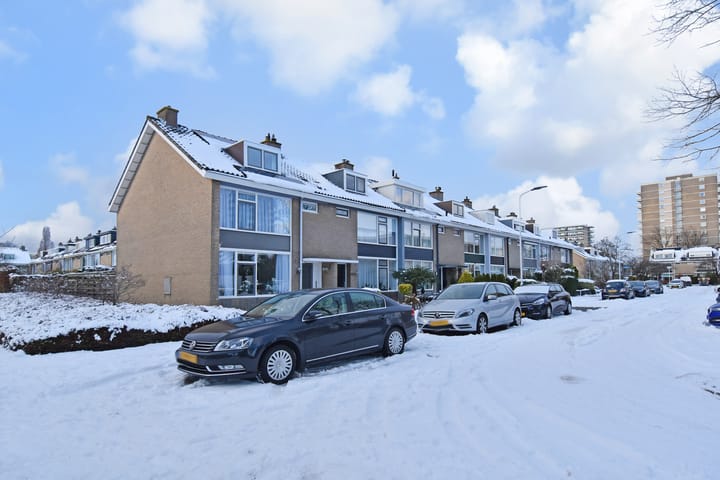 Foto 41 van Alexanderstraat 35