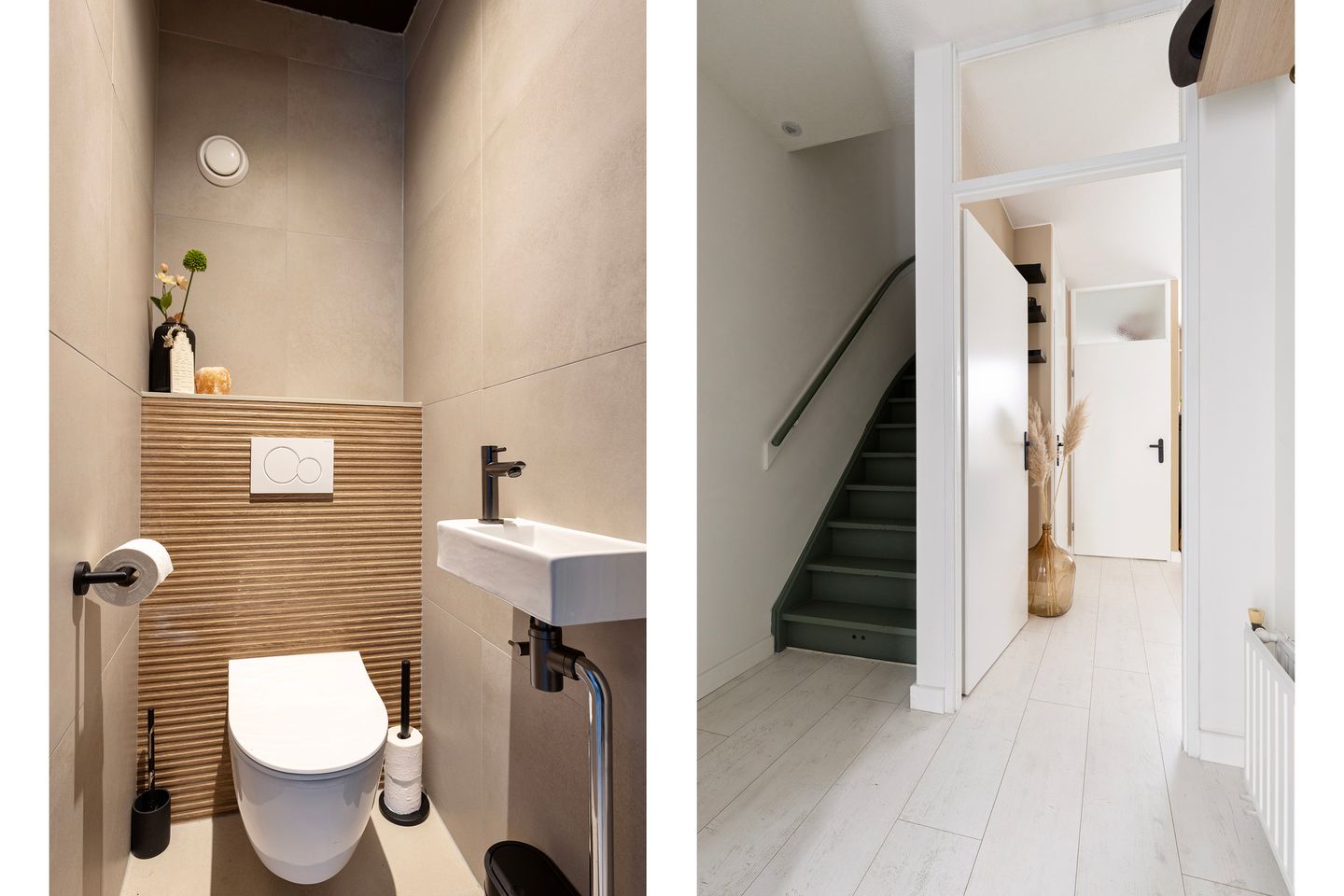 Photo 5 of Christoffelkruid 3