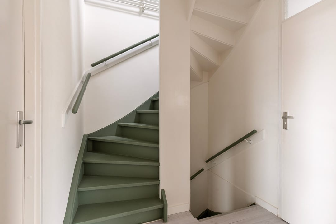 Photo 16 of Christoffelkruid 3