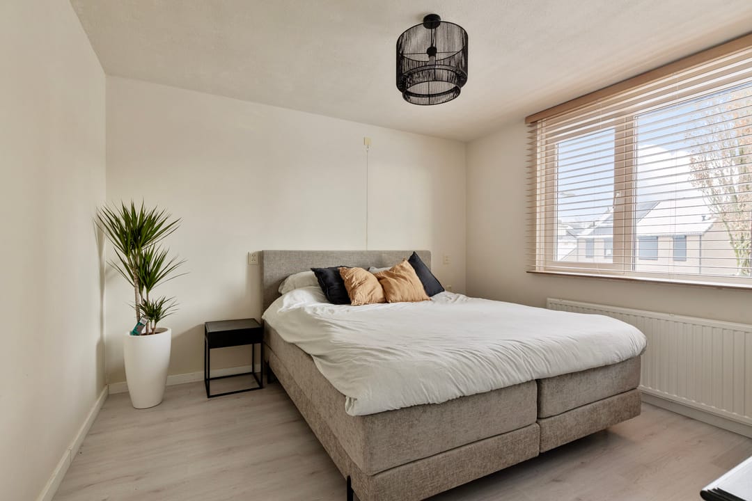 Photo 17 of Christoffelkruid 3