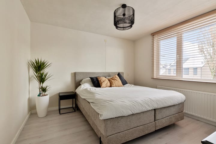 Foto 17 van Christoffelkruid 3