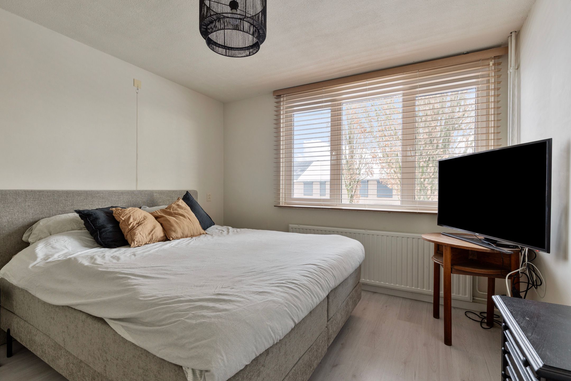 Photo 18 of Christoffelkruid 3