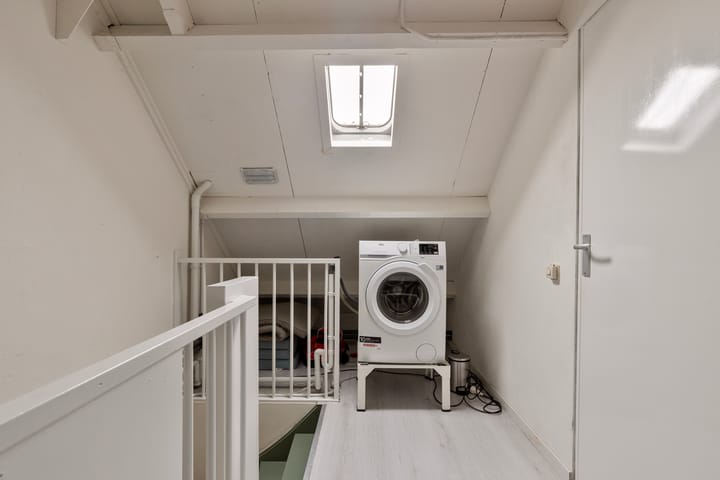 Foto 24 van Christoffelkruid 3