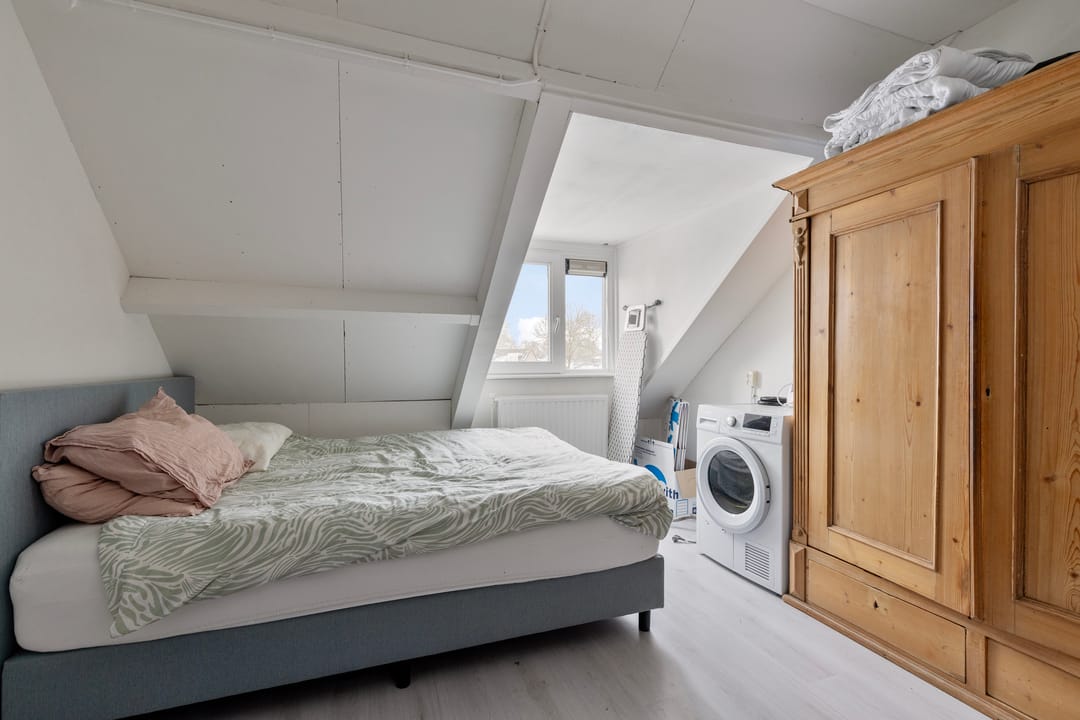 Photo 26 of Christoffelkruid 3