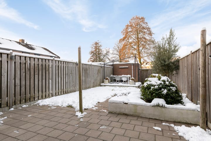 Foto 27 van Christoffelkruid 3