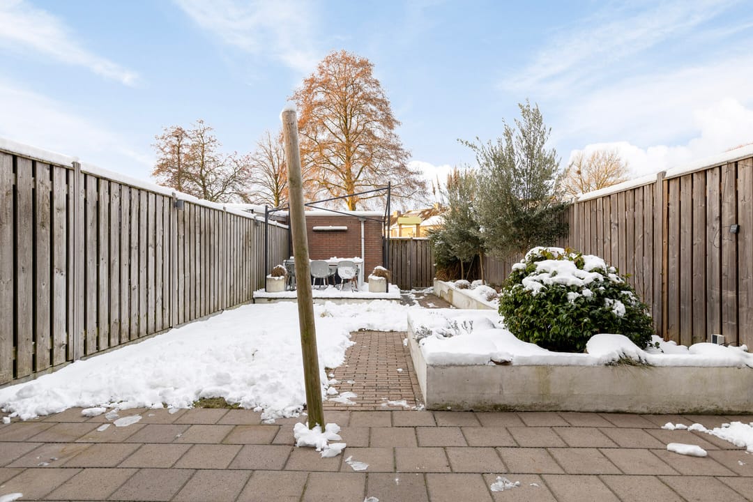 Photo 28 of Christoffelkruid 3