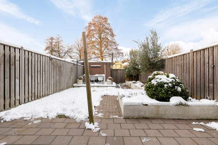 Foto 28 van Christoffelkruid 3