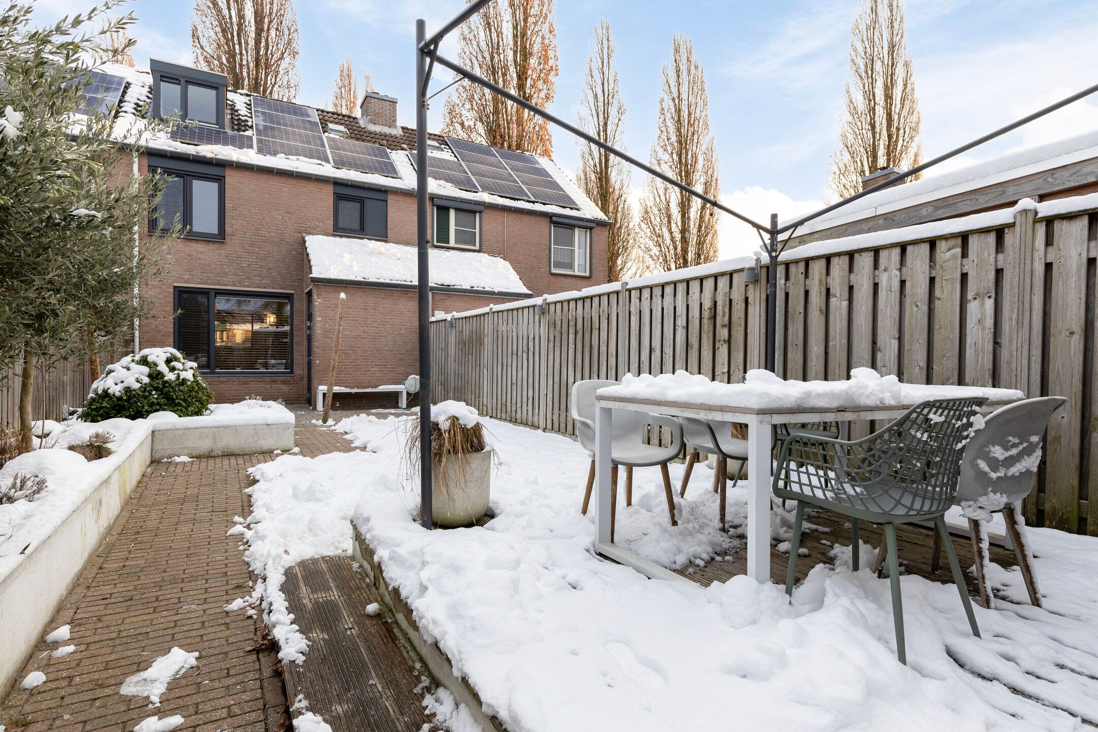 Photo 30 of Christoffelkruid 3