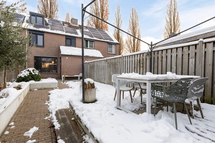 Foto 30 van Christoffelkruid 3