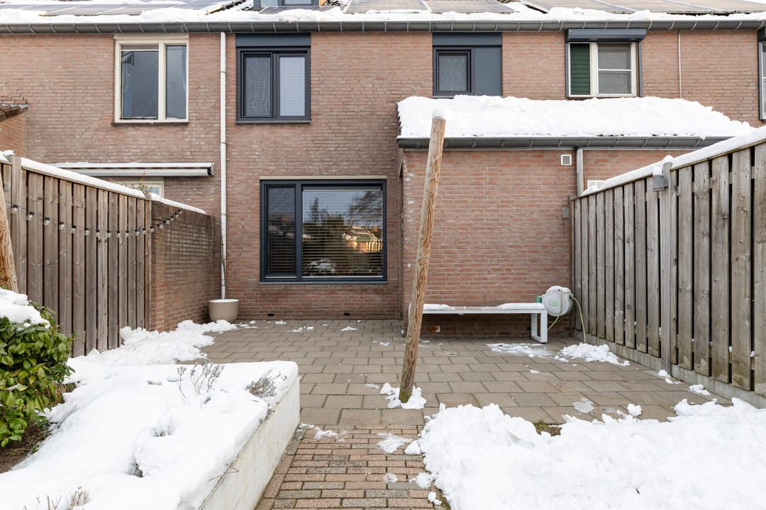 Photo 31 of Christoffelkruid 3