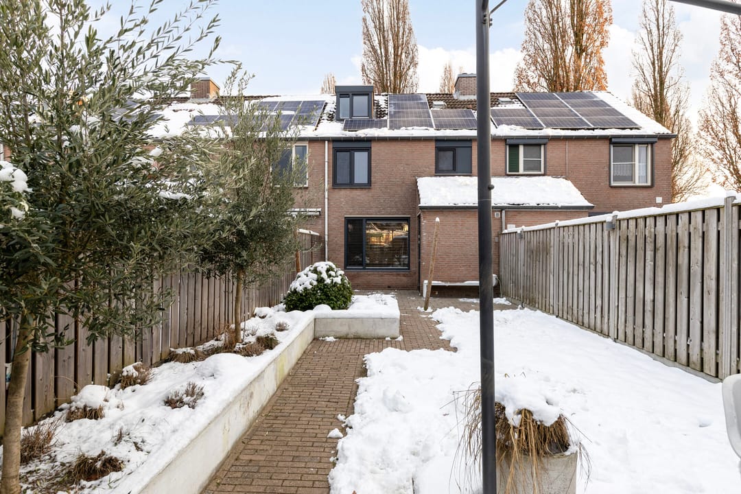 Photo 32 of Christoffelkruid 3