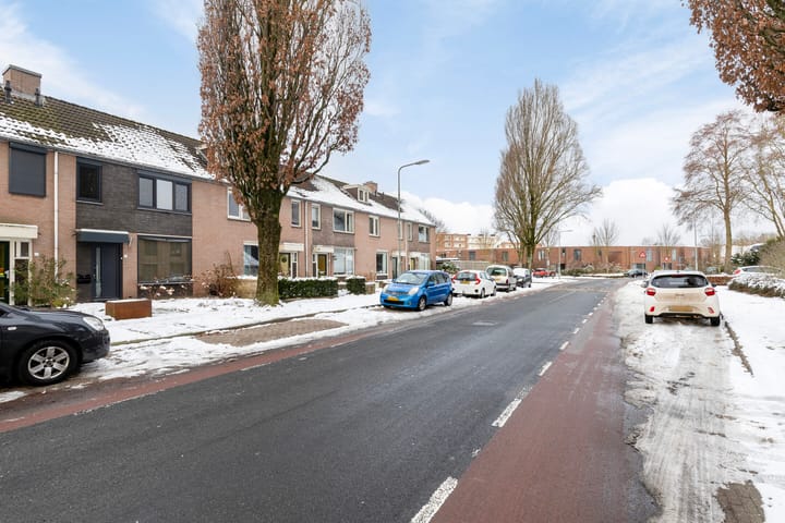 Foto 33 van Christoffelkruid 3