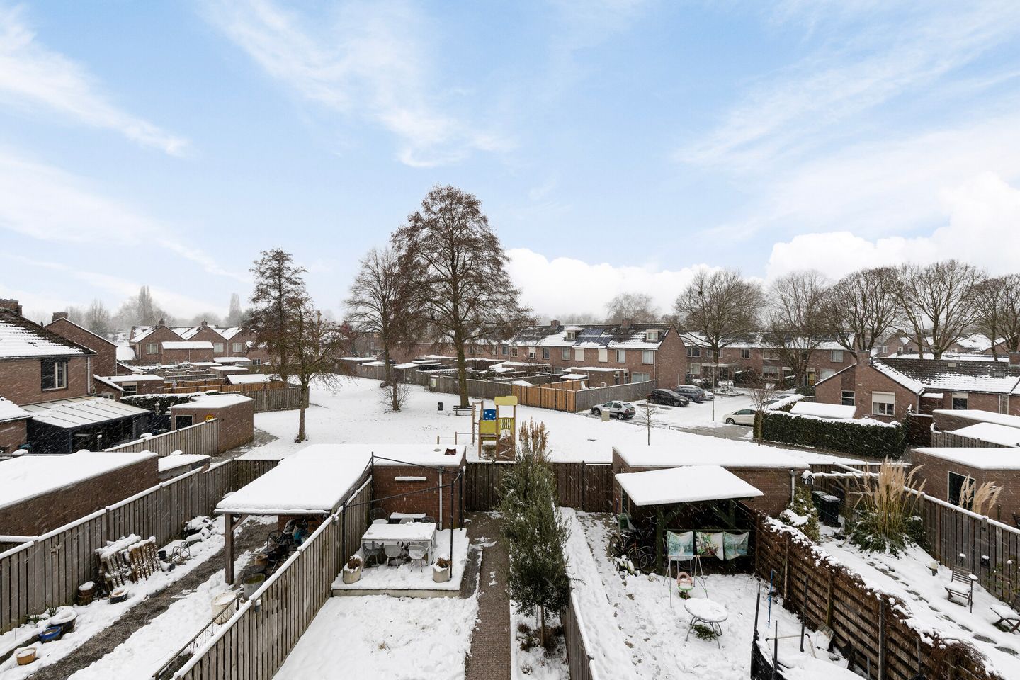 Photo 34 of Christoffelkruid 3