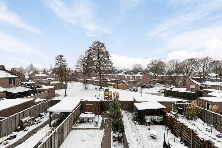 Foto 34 van Christoffelkruid 3