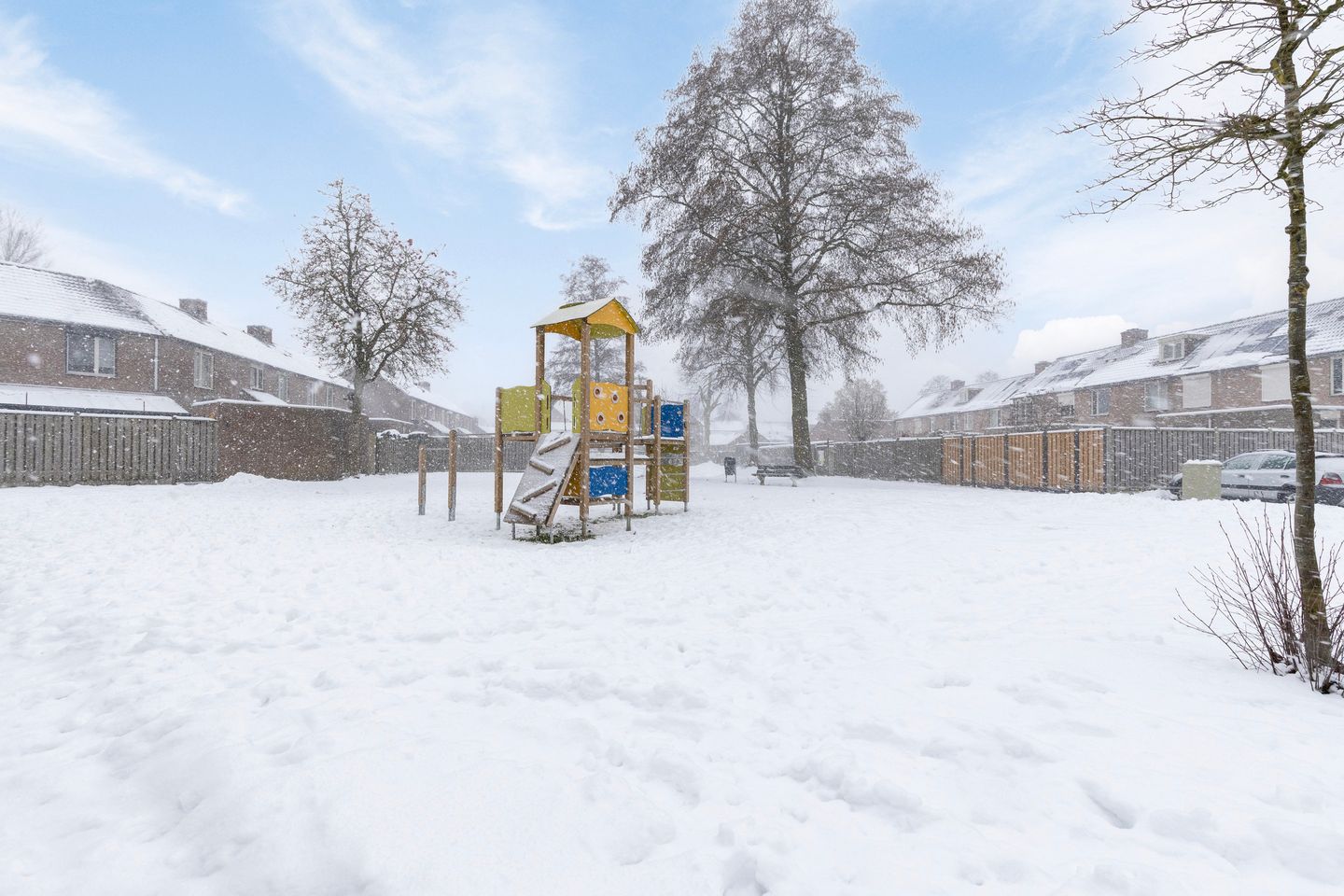 Photo 35 of Christoffelkruid 3