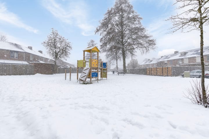 Foto 35 van Christoffelkruid 3