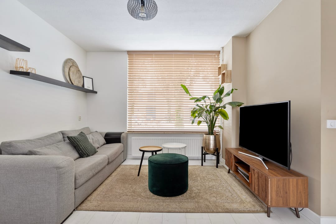 Photo 8 of Christoffelkruid 3