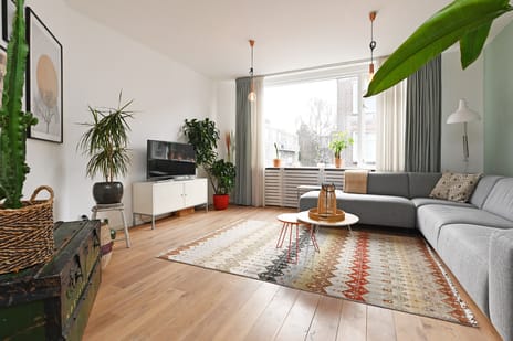 Lavendelstraat thumbnail