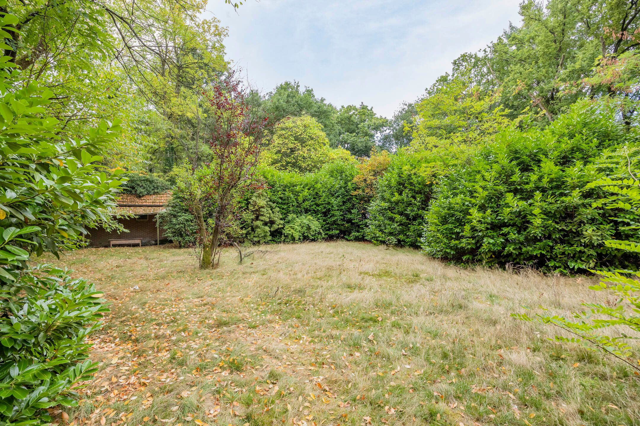 Foto 30 van Hazenloop 33