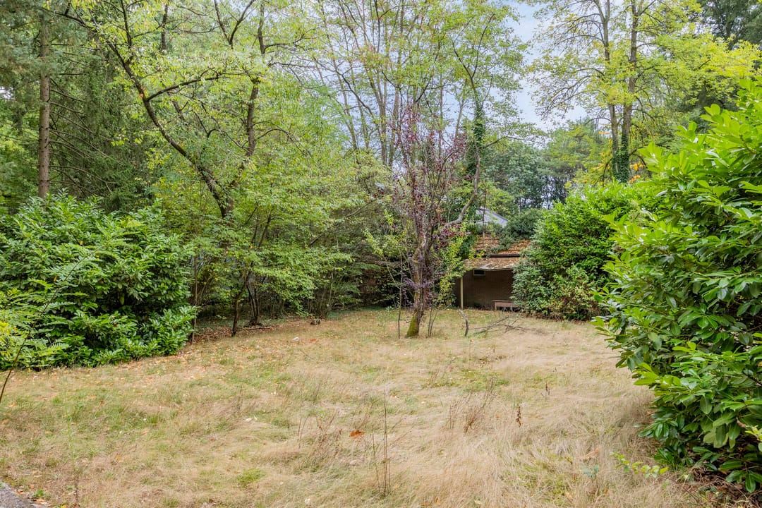 Foto 31 van Hazenloop 33