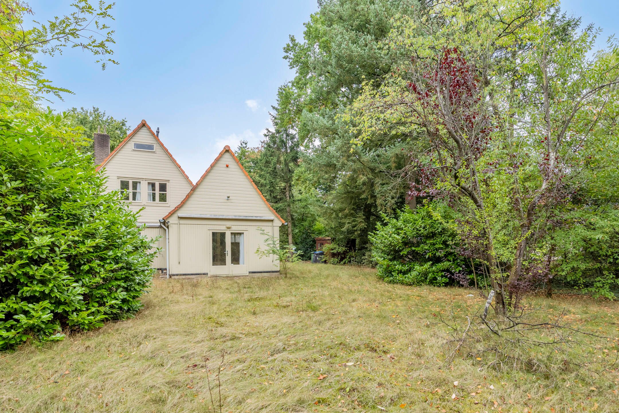 Foto 33 van Hazenloop 33