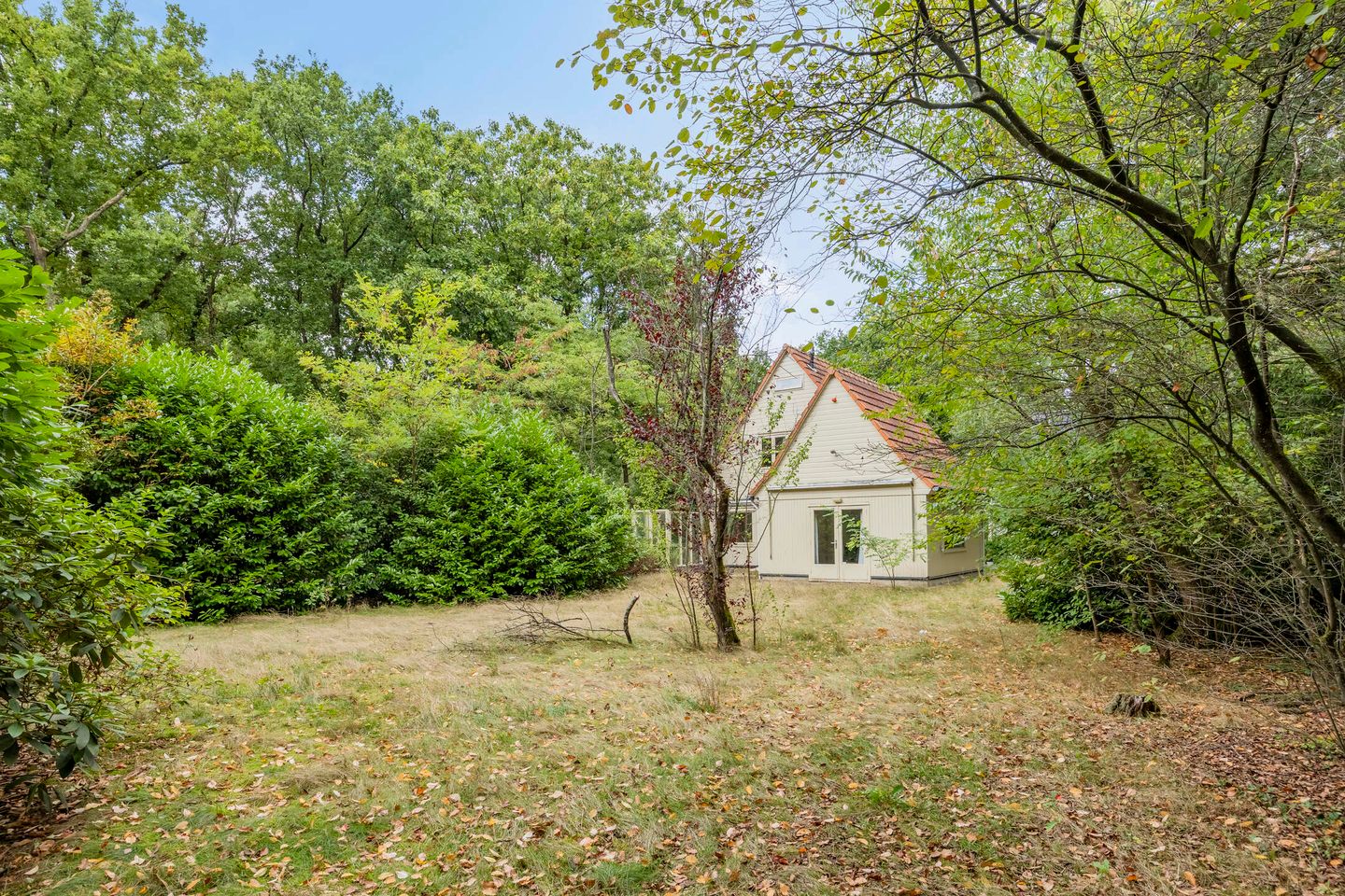 Foto 35 van Hazenloop 33